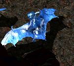 水晶蝙蝠.jpg